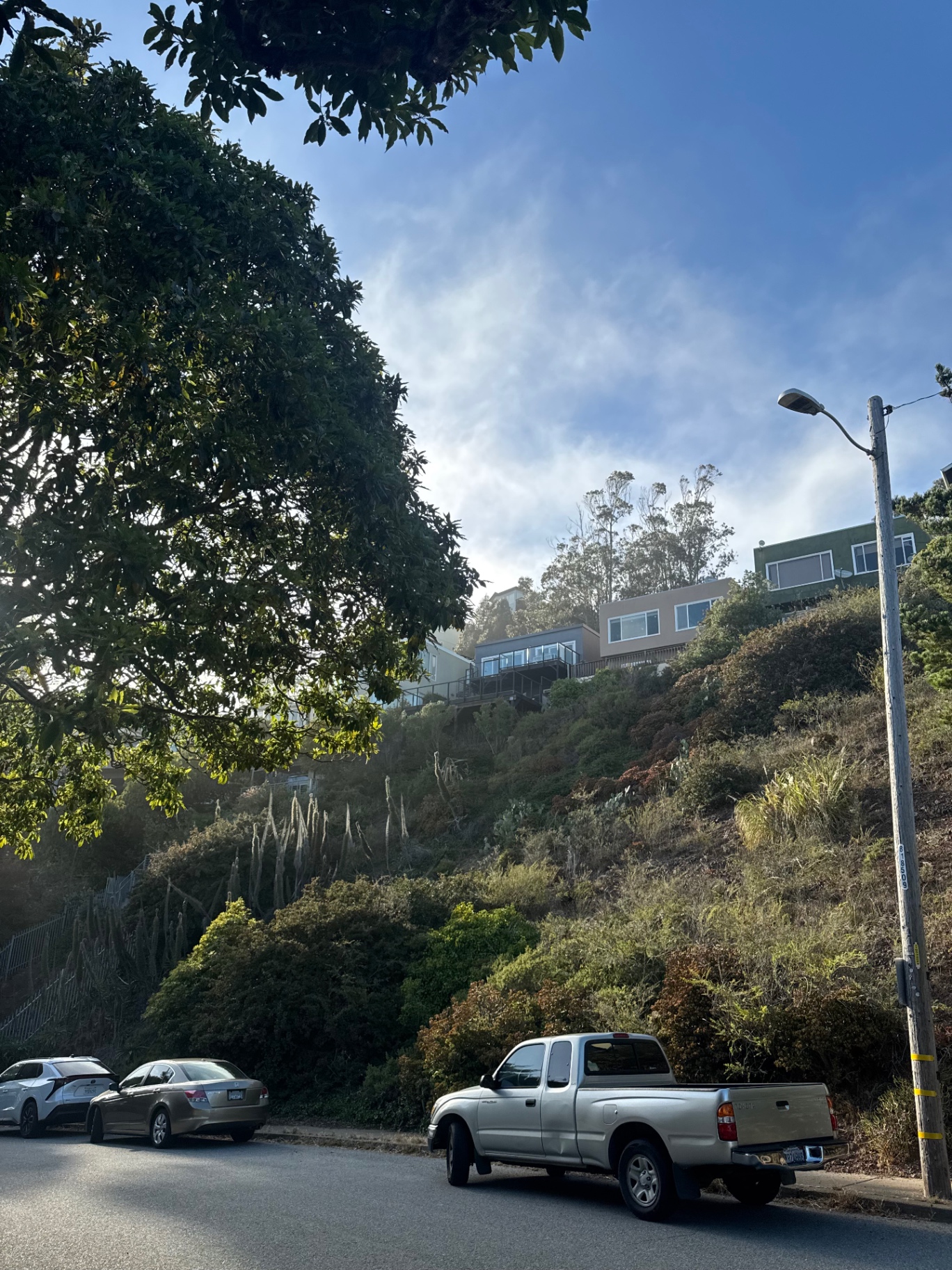 The house seen from the street below, sitting above a planted hillside